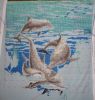Dolphins6.thumb.jpg.cfd4327cc27f3733140df6d56c14cdb8.jpg