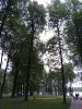 IMG_20180519_182621.thumb.jpg.15696bcc82d83cd661d728ffd420c948.jpg