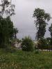 IMG_20180519_184746.thumb.jpg.9a1f37f3b70eda03bf2dd7b0d60d57aa.jpg