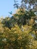 IMG_20180602_201143.thumb.jpg.55c34f697236447b8424896c2821b000.jpg