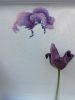 IMG_20180608_173537.thumb.jpg.d8a08b36eae6523f32f1fcb3023b32ec.jpg
