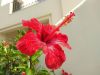 IMG_20180616_113017.thumb.jpg.72fd98abbcfe41ce0b1156fae7db08cd.jpg