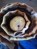 IMG_20180625_101053.thumb.jpg.31cf0e395f0367553a138cf99c8728dd.jpg