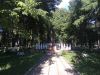 IMG_20180625_172817.thumb.jpg.06db46635a50439f977426a1ad60312b.jpg