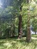 IMG_20180627_112255.thumb.jpg.6414054d0c8afcadccc902214f802e98.jpg
