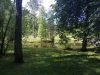 IMG_20180627_112308.thumb.jpg.f2400a2ad857c6c957de2964bd8bb324.jpg