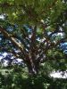 IMG_20180627_112740.thumb.jpg.192cffe74dac17c1fa3b652c077a8dac.jpg