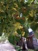 IMG_20180627_113307.thumb.jpg.ca858cce59cda53afff4fdec9480a808.jpg