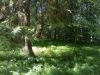 IMG_20180627_152317.thumb.jpg.22c2f400580761c563a95966b07a2e21.jpg