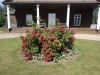 IMG_20180627_155212.thumb.jpg.b2c66a6ec82acaebac67bd2360575adf.jpg