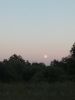 IMG_20180627_214824.thumb.jpg.ac217b40c7589a7c23c5b58d002ee44f.jpg