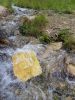 IMG_20180629_160423.thumb.jpg.0745b9f94476f4a1b990f6dfe909278f.jpg