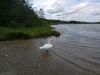 IMG_20180629_160459.thumb.jpg.4e12ce84f7950590eb2a5dfbbde64192.jpg