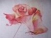 IMG_3405.thumb.JPG.baa17bc69025237b155e4d270c783fdc.JPG?1528439316516