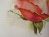 IMG_3430.thumb.JPG.12ccff18eab60c85717639d41bd4ffb3.JPG?1529065593465