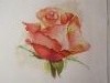 IMG_3432.thumb.JPG.36d23f00277232a99a0e09eb02cc376e.JPG?1529065637656