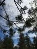 IMG_7911.thumb.JPG.f0d23f124debcde357d0d8569dd93e3f.JPG?1528439754667
