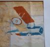 Plane2.thumb.jpg.093f61801fd53b54e9442e66c9673ce8.jpg