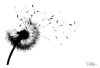 dandelion_by_saigleri-d3bppew.thumb.jpg.5e037f2ed8dce66d6f96259f05ed4261.jpg