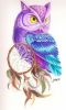 owl-dreamcatcher-jane-bush.thumb.jpg.ff7ae36c956b93d041e25958eb8ed556.jpg