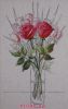 15911.thumb.jpg.ac111abd7ae9a7a5ae8bb6a6d1841711.jpg