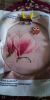 2.thumb.jpg.ceaf5c7a4f6584252750cdb4adab40c7.jpg
