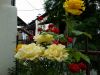 20180630_095226.thumb.jpg.0e4ddaf00ce1e76638d3c177ccce2e63.jpg