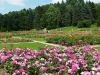 20180630_140944.thumb.jpg.835a31c283fbfcaafe134f703932e4a0.jpg
