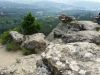 20180630_160753.thumb.jpg.33c9b6217bd3fd5ca06c6e8d205d5098.jpg