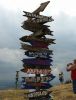 20180707_145928.thumb.jpg.8366a4cd504afb63aaad522c9e887026.jpg