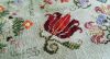 20180712_144457-1.thumb.jpg.11b6a0960f4ebebc72c9b4ad8f43fd30.jpg