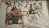 20180712_222950.thumb.jpg.a321502a207f432c3b5dc1dd1d935ab8.jpg