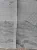 20180713_093303.thumb.jpg.4a034a2958d4c70bad67987e153870c8.jpg