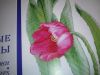 20180715_190420.thumb.jpg.0071e8e80c94b53e7c9f3a96da2ba8e6.jpg