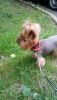 20635974-69F3-48EC-9156-D51E23ADF5C3.thumb.jpeg.5f42ebf744f687474ba519f235c423c4.jpeg