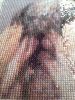 3.thumb.JPG.8a862a8f3d4193a52164b8f52d9f33fd.JPG