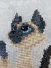5.thumb.JPG.3a58a57a1c87d00e0062afcd564dc02f.JPG