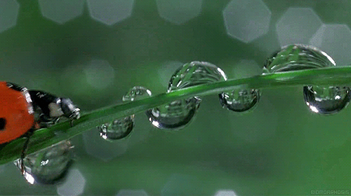 5b3dbc771cef2_.thumb.gif.72ad0e02e6736bfeaf95c46eaa445953.gif