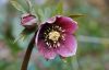 5b54399ac7e16_imgs_touch(10).thumb.jpg.d3227bcd354449d52e30534c2c27d1dc.jpg
