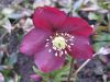 5b5439a6cd9b6_imgs_touch(8).thumb.jpg.4d30c251aa2ef8ed117e0cffda6450ec.jpg