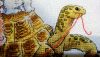 5b5a9a47b0ef0_2018-07-2621-44-12.thumb.JPG.2b6ecb2aca0a57bbc4d4bbde88a655ba.JPG