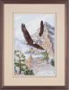 Soaring the peaks
