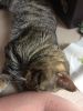 7BD40764-A1F5-4DF9-8109-0FFD0C51BC92.thumb.jpeg.bf75a3b461bd62c0d710168b18520525.jpeg