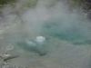 87472CCA-C296-4F9D-A211-4300E8B27AC8.thumb.jpeg.6aa3be800b48b4d945c67906cc2b3fb8.jpeg