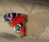 Butterfly3-3.jpg.bfa02146dc8d0c3b0031dec945eb97e1.thumb.jpg.7b277bd832bded390b65b81102a85c5a.jpg