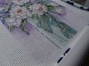 DSC01916.thumb.JPG.94eb885e31417cda78b0fc8d84e720a1.JPG