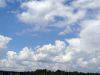 DSC02398_.thumb.jpg.736a5d09cf82bf8cccb268718259e36b.jpg