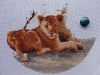 DSC02400_.thumb.jpg.3613b717dc90562ac85fe0ab955bee70.jpg