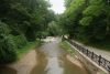DSC03833.thumb.JPG.77ed316a58e6bddb97dfb993b9eaee68.JPG