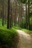 DSC03941.thumb.JPG.abdd1b97629ba12502a62cc984565337.JPG